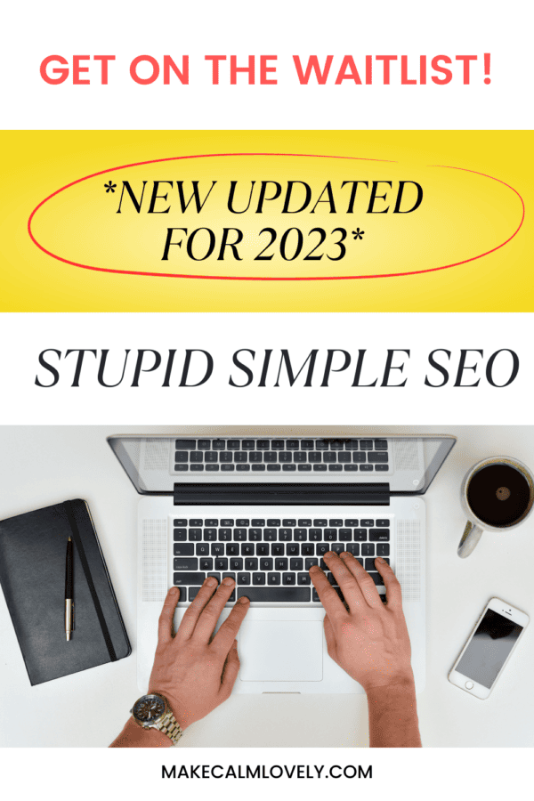 Stupid Simple SEO - Get on the Waitlist for the updated 2023 version!