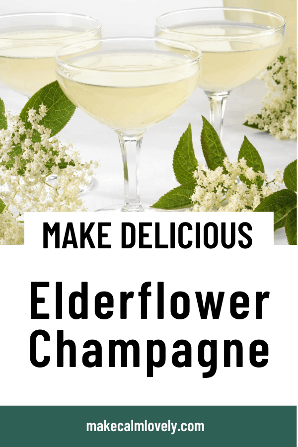 Elderflower champagne