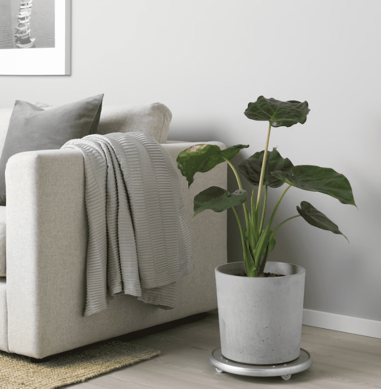 Best Ideas for Displaying your House Plants from IKEA
