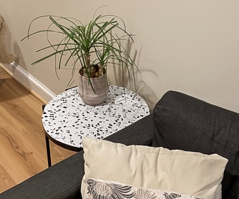 Terrazzo side table with plant.