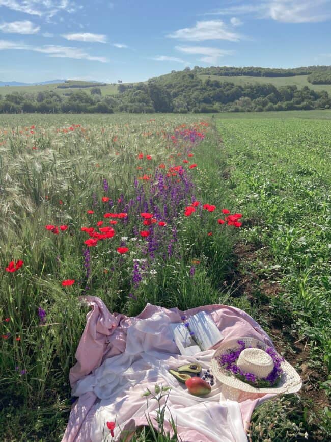 How to have a lovely picnic. Everything you need to know to have the best picnic!