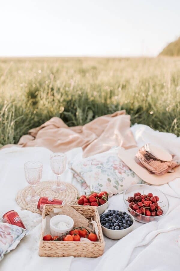 How to have a lovely picnic. Everything you need to know to have the best picnic!